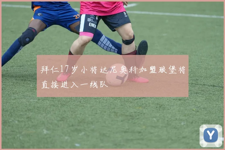 拜仁17岁小将达尼奥科加盟狼堡将直接进入一线队