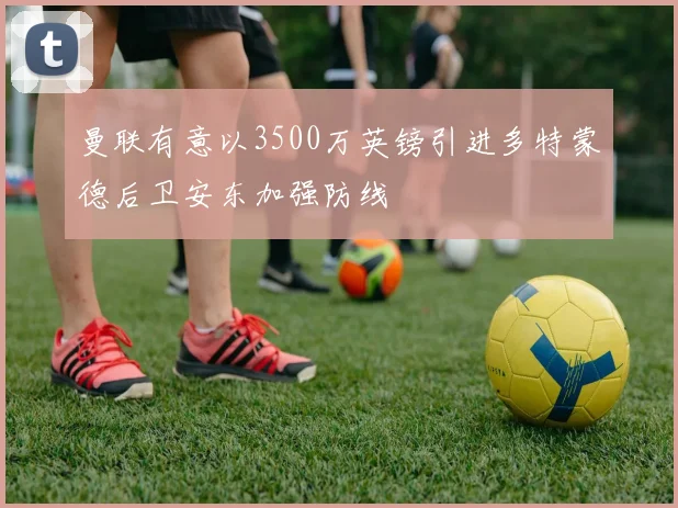 曼联有意以3500万英镑引进多特蒙德后卫安东加强防线