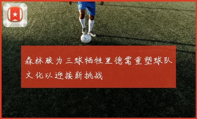 森林狼为三球牺牲里德需重塑球队文化以迎接新挑战